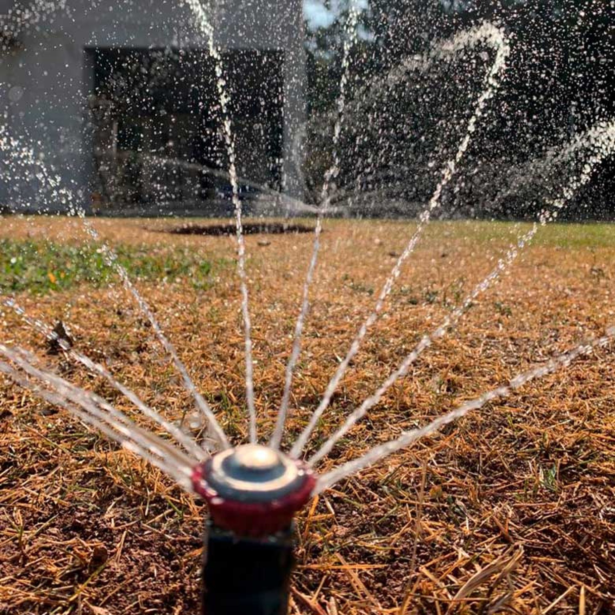 rotativo-laco-irrigação3